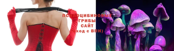 бошки Балахна